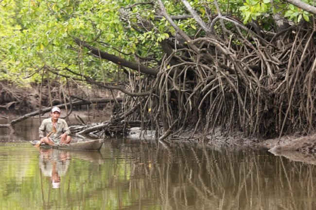 Taman Nasional Rawa Aopa Watumohai Taman Nasional Di Sulawesi Tenggara