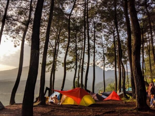 Harga Tiket Bukit Kabayan Gunung Bunder Dan Fasilitasnya KATA OMED