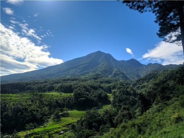 Harga Tiket Bukit Kabayan Gunung Bunder Dan Fasilitasnya Kata Omed