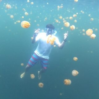 Danau Ubur Ubur di Misool