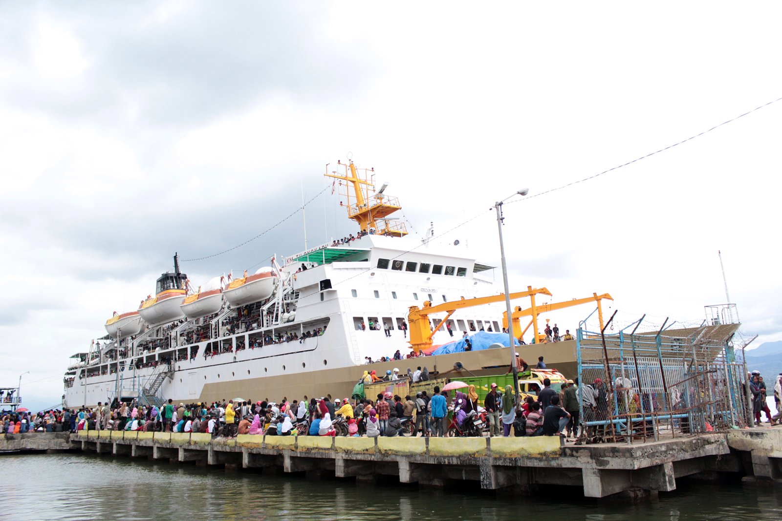 Jadwal Kapal Pelni Dari Kota Bau Bau Buton Ke Kota Kendari Ke Raha Dan Ke Wanci Wakatobi Kata Omed