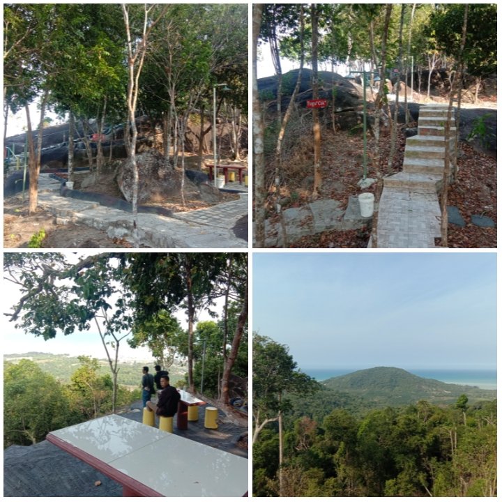 Pagoda nusantara