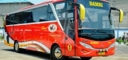 damri palembang tanjung api api