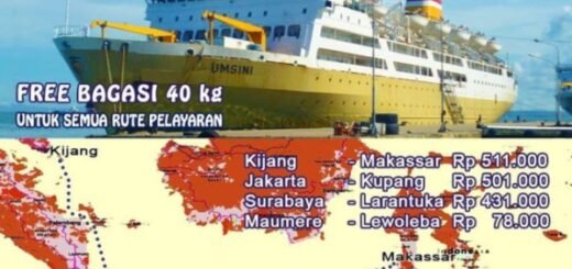 rute kapal umsini