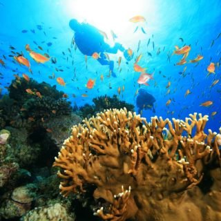Taman Bawah Laut Wakatobi