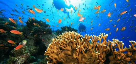 Taman Bawah Laut Wakatobi