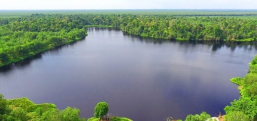 Taman Nasional Baru di Indonesia