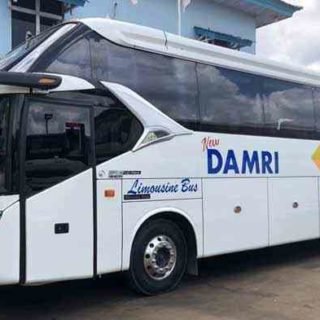 Bus Damri