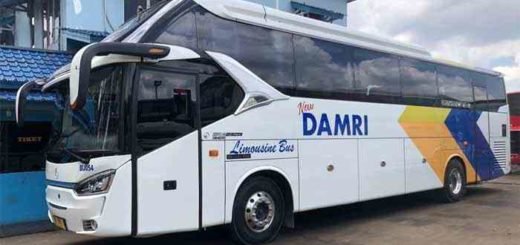 Bus Damri