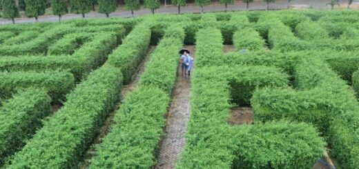 Taman Labirin Pelaihari