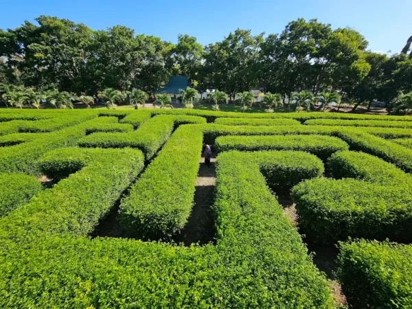 wisata taman labirin di pelihari