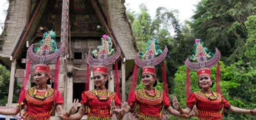 suku yang ada di pulau sulawesi