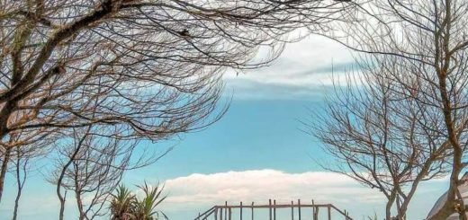 Pantai Cemara Sewu