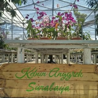 Taman Anggrek Moroseneng Surabaya