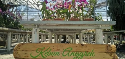 Taman Anggrek Moroseneng Surabaya