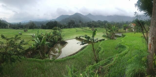 pemandangan menuju Menuju Curug Ciangin