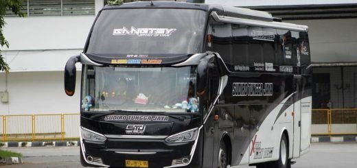 Bus Sudiro Tungga Jaya