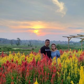 Taman Asmoro Jati Agung