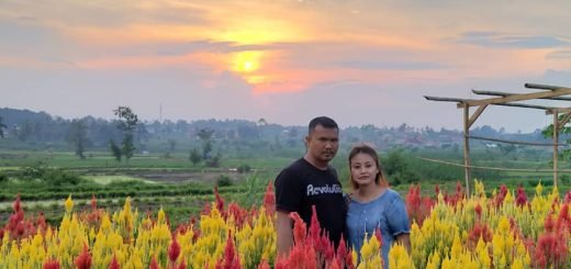 Taman Asmoro Jati Agung