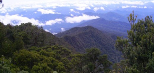 Gunung Bukit Raya