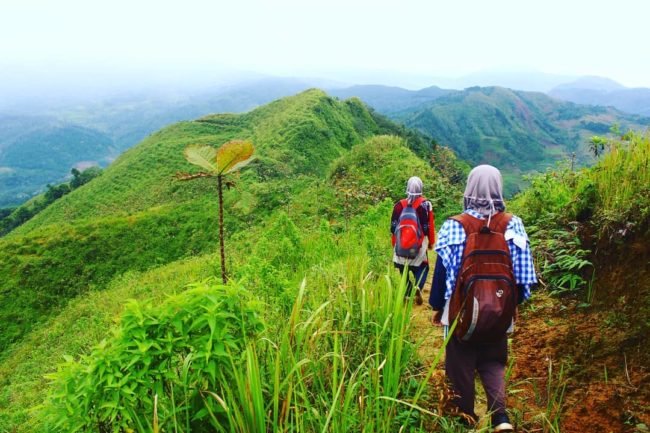 Jalur pendakian ke Bukit Pawuluhan