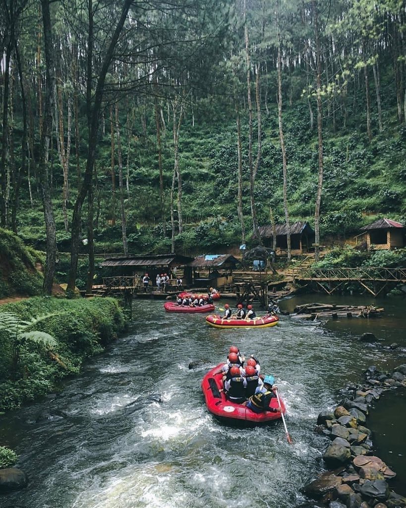 Kampung Singkur Hutan Pinus Rahong di Pangalengan