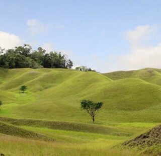 Savana Taman Nasional Rawa Aopa Watumohai, Sulawesi Tenggara - Foto GPS Wisata Indonesia