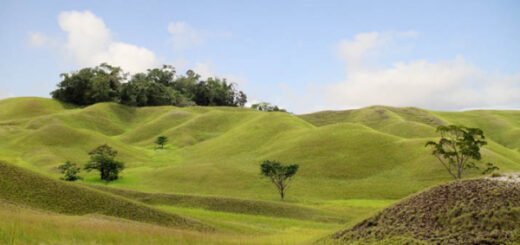 Savana Taman Nasional Rawa Aopa Watumohai, Sulawesi Tenggara - Foto GPS Wisata Indonesia