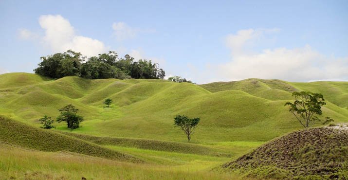 iTamani Nasional Rawa Aopa Watumohai iTamani Nasional di 