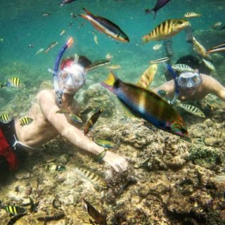 Snorkling di Pantai Nglambor