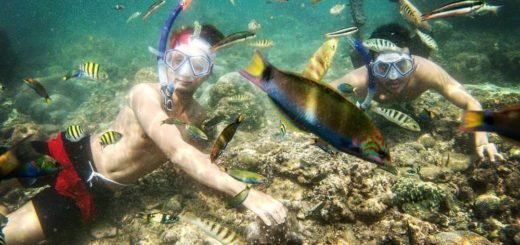Snorkling di Pantai Nglambor
