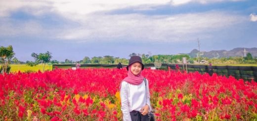 Taman Nangkula Kendalbulur Tulungagung