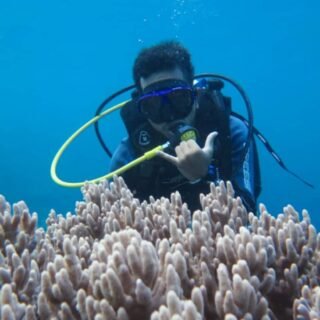diving di wakatobi