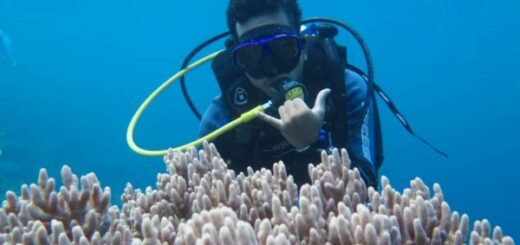 diving di wakatobi