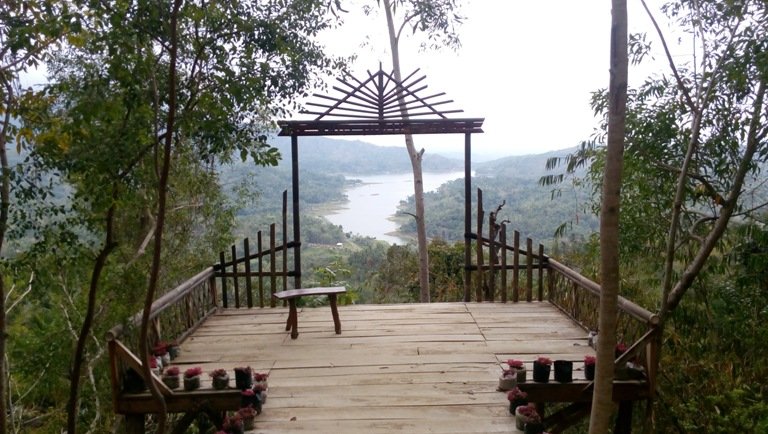 spot foto Bukit Cendana Kulonprogo