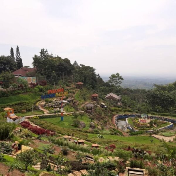 Agrowisata Jolong Pati jawa tengah