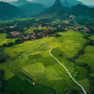 Bantar kuning Cariu bogor