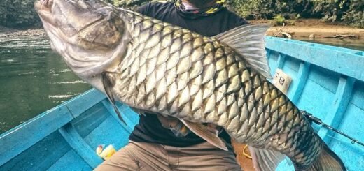 taman nasional Betung Kerihun