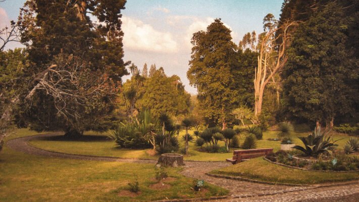 Kebun Raya Cibodas
