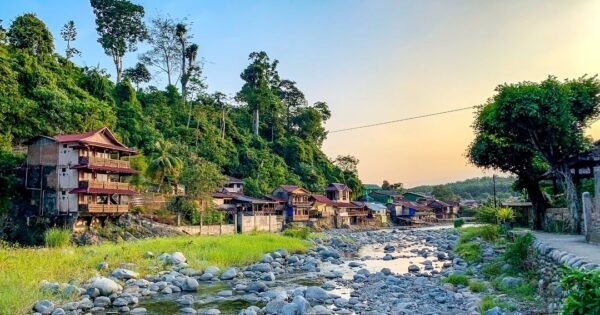 Bukit Lawang