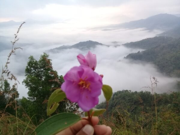 Bukit Bara-Bare
