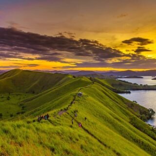 Bukit Tungkuwiri, Jayapura