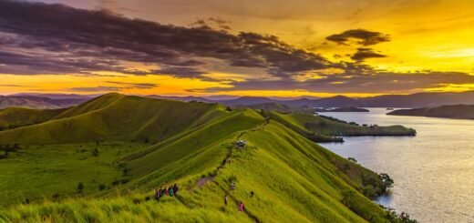 Bukit Tungkuwiri, Jayapura