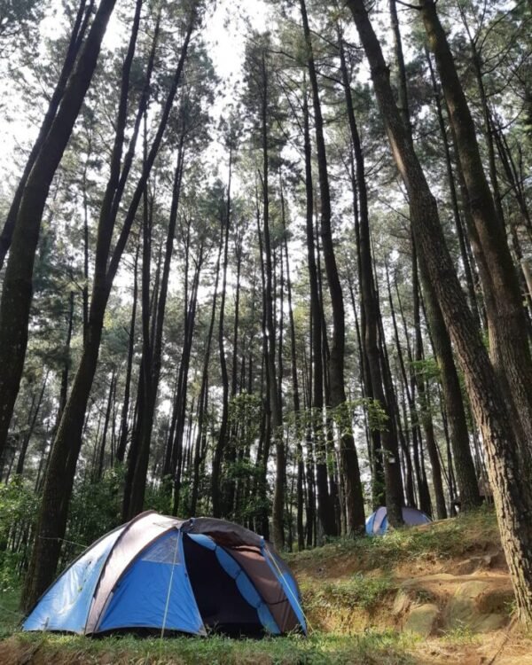 Camping di Gunung Pancar Bogor