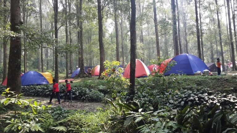 6 Tempat Camping di Curug Bogor Paling Favorit! - KATA OMED