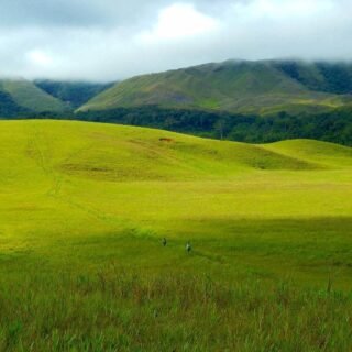 Lembah Kebar papua barat