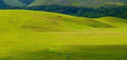 Lembah Kebar papua barat