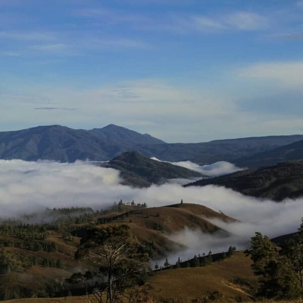 Lembah Napu di Sulawesi Tengah