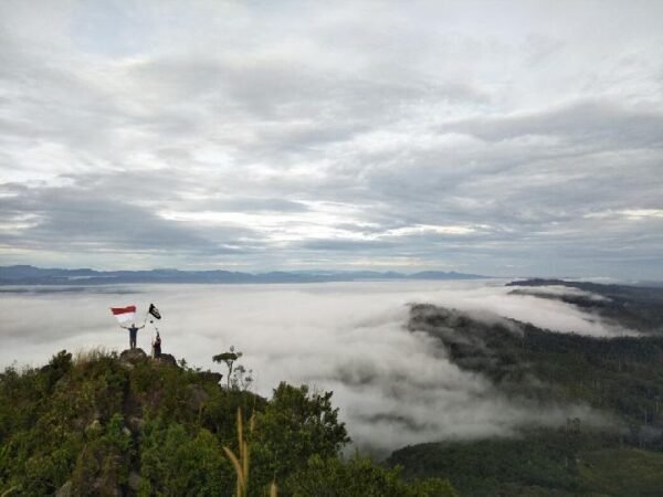 Samudra Lautan Awan Bukit Suligi Riau