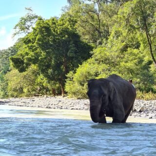 Taman Nasional Gunung Leuser
